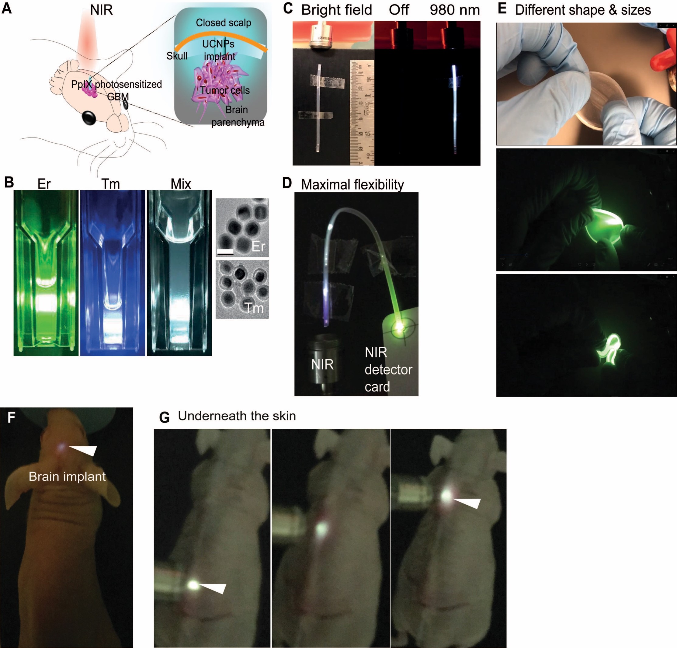 Our proprietary deep light flexible implantable is an excellent choice for wire-free deep tissue light delivery, for example, photodynamic therapy (A).Proprietary upconversion nanoparticles (B) are made into upconversion implantable (C), That can be activated tether-free even during bending (D). Our implants are customizable to different shapes and sizes to provide comfort to users when implanted underneath tissue (E).Upconversion implantable is applicable for wire-free deep light delivery in various tissue