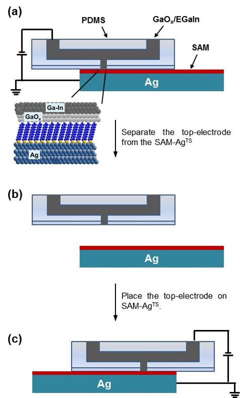 A schematic diagram of the electrical contact of the invention.