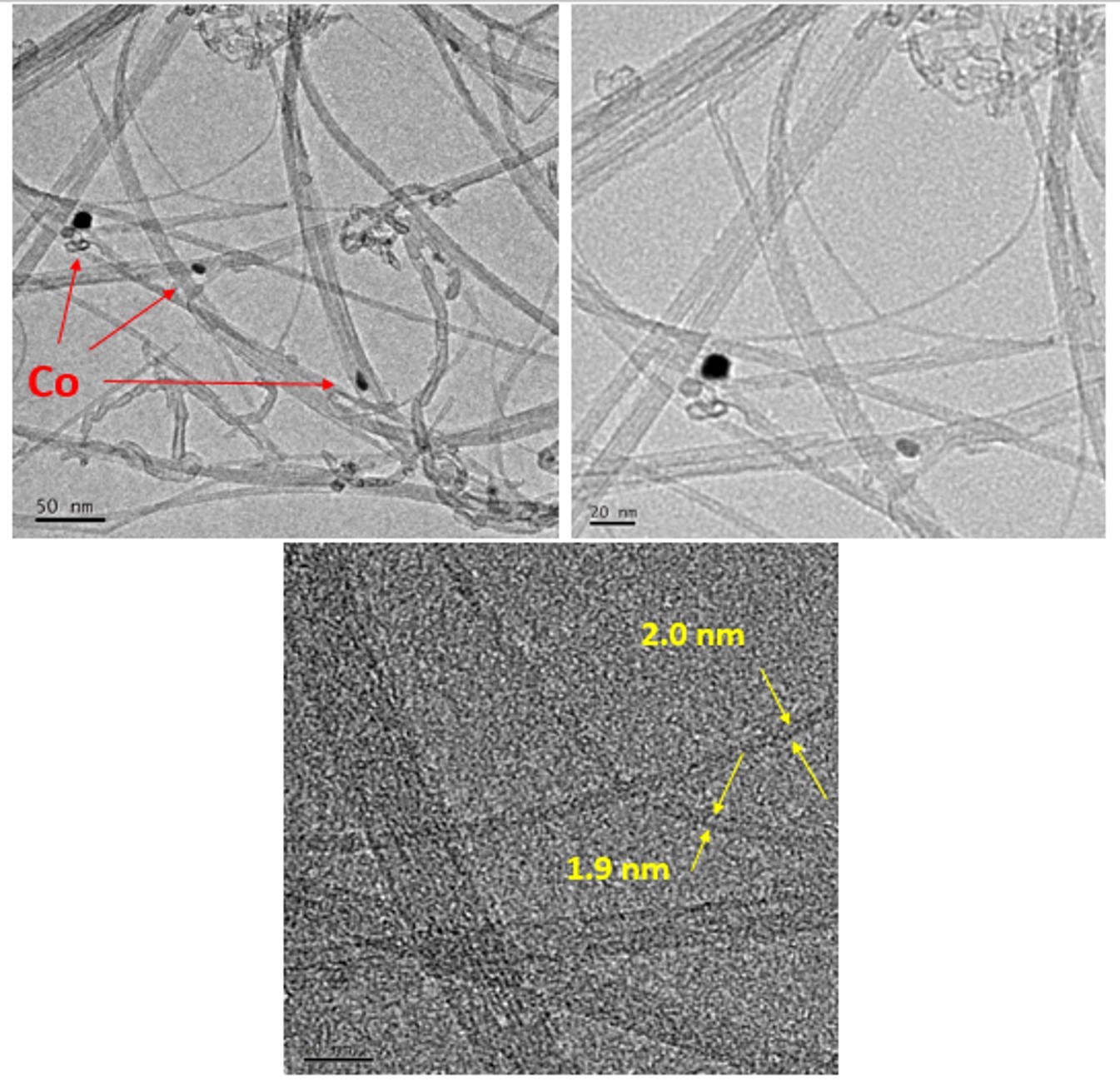 Figure TEM images of SWCNTs and MWCNTs formed on CVD catalyst Co-Mg.